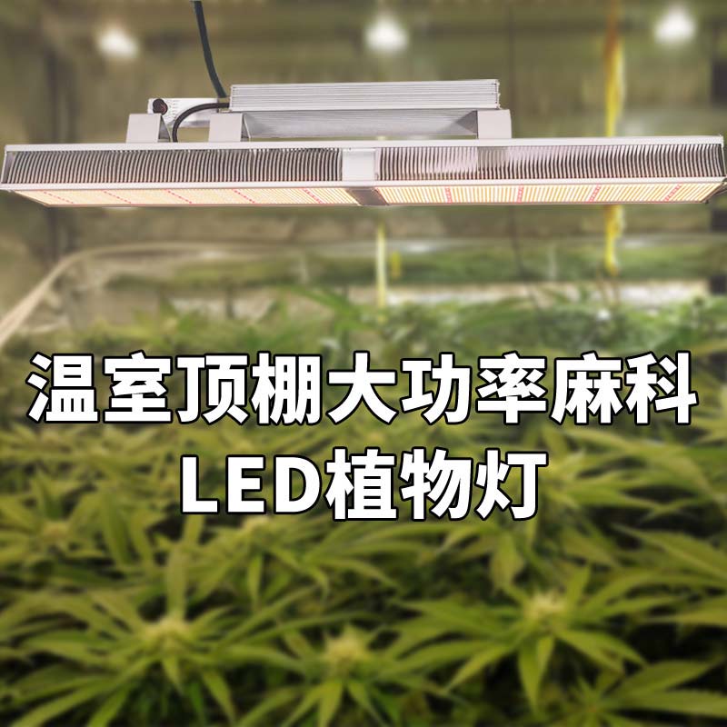 植物灯